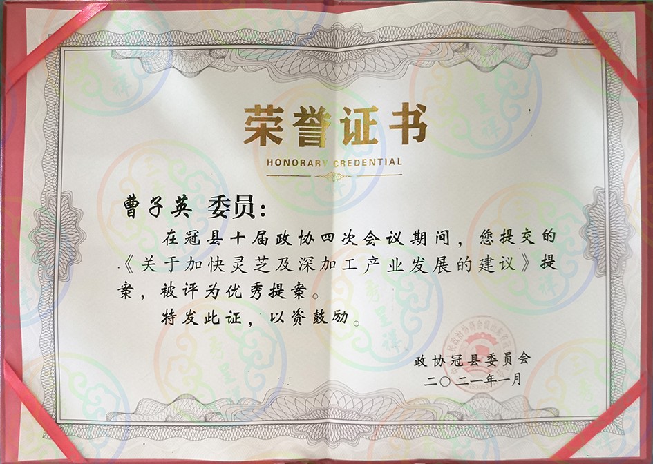 2021年政协会议评为优秀提案