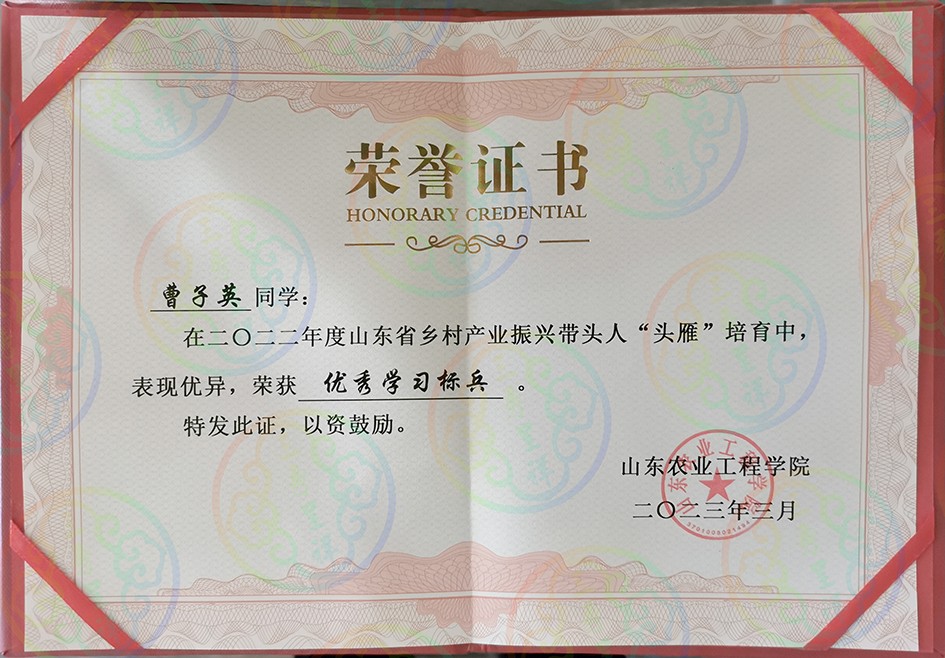 2023年山东省乡村产业振兴带头人“头雁”培育优秀学习标兵