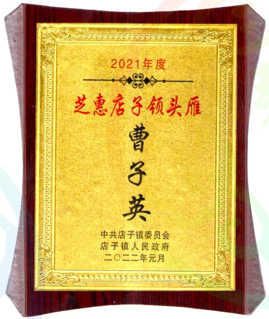 店子领头雁