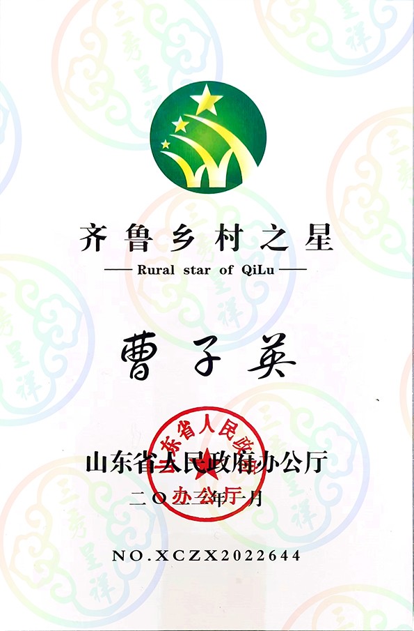 齐鲁乡村之星2023