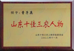 山东十佳三农人物