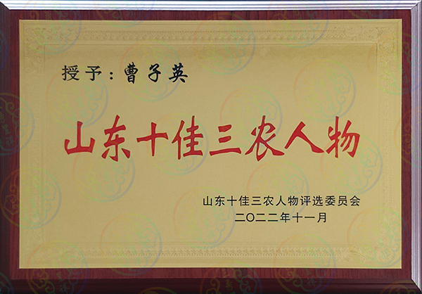 山东十佳三农人物