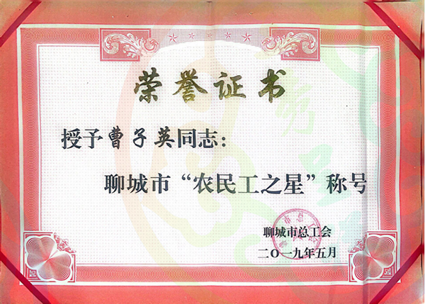 市农民工之星