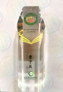 头雁项目奖杯2023.3