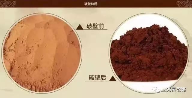 怎样识别真正的灵芝制品？